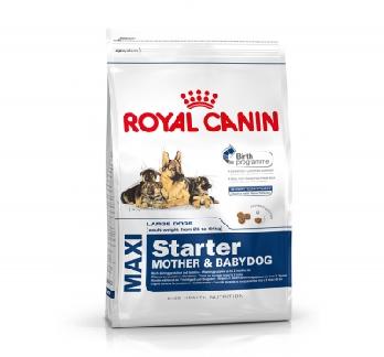 Royal Canin Maxi Starter 4 Kg